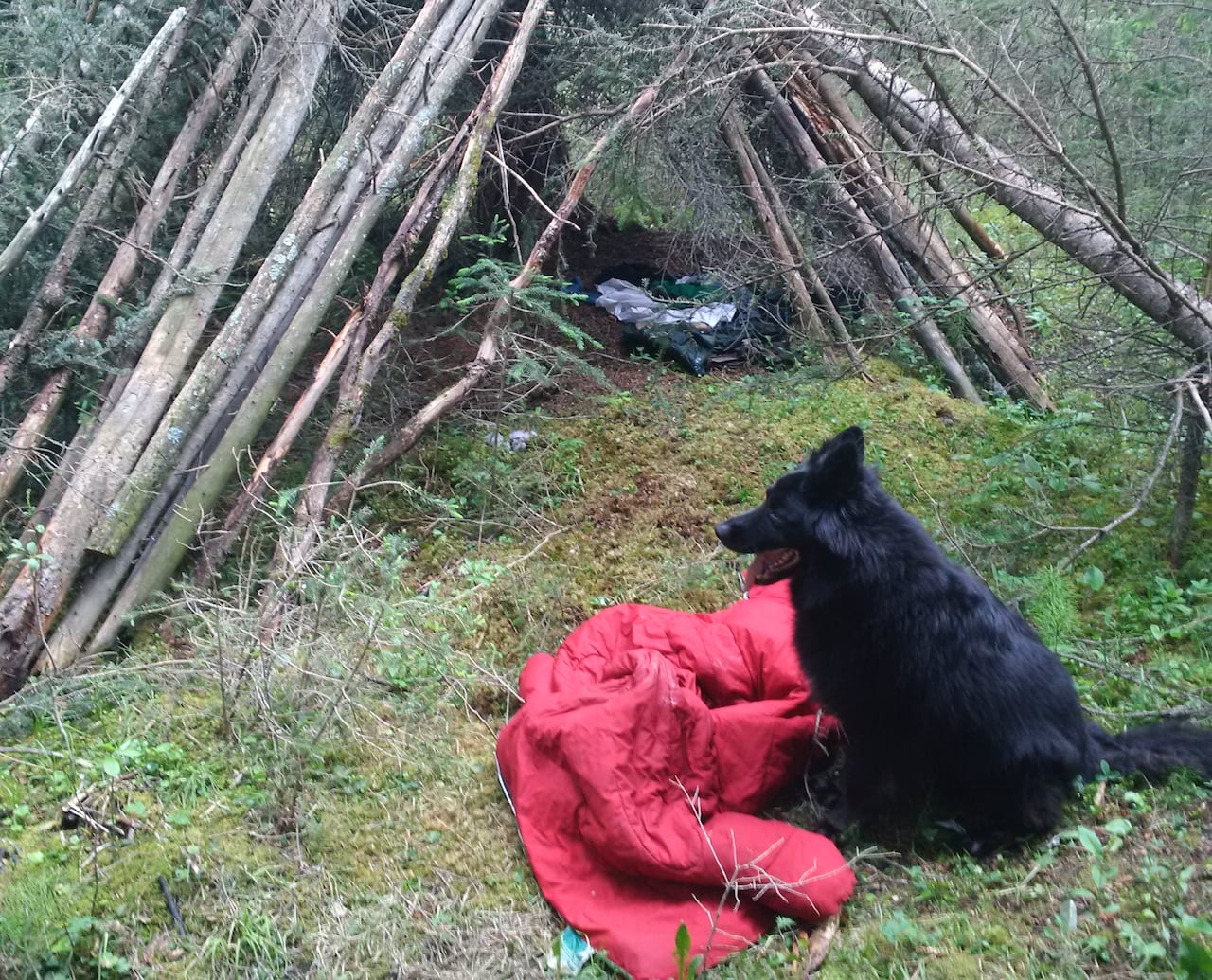 A Parks Canada warden and his dog
