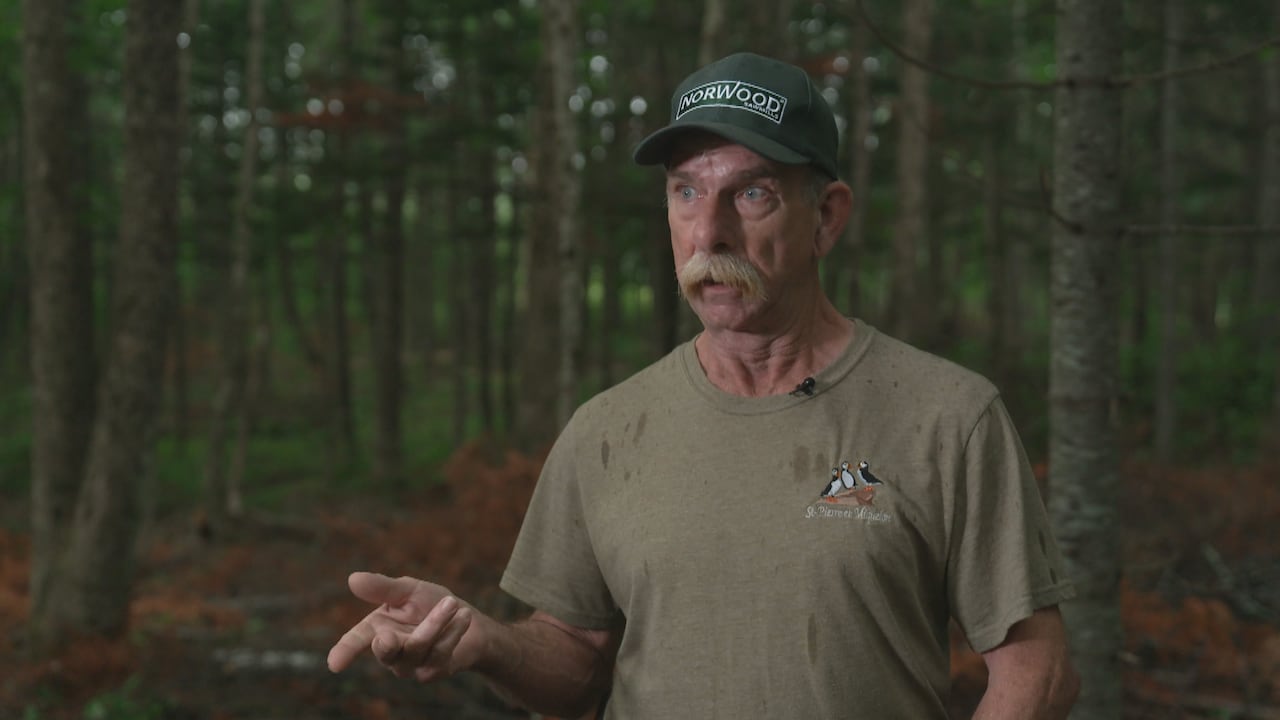 A while man with a blonde mustache, wearing a tan t-shirt and a green hat, gestures at the dying trees on his woodlot.