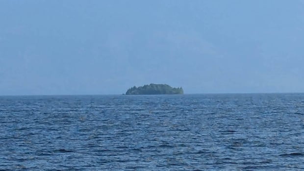 神秘“漂浮岛”现身又消失，揭秘卑诗威利斯顿水库奇观