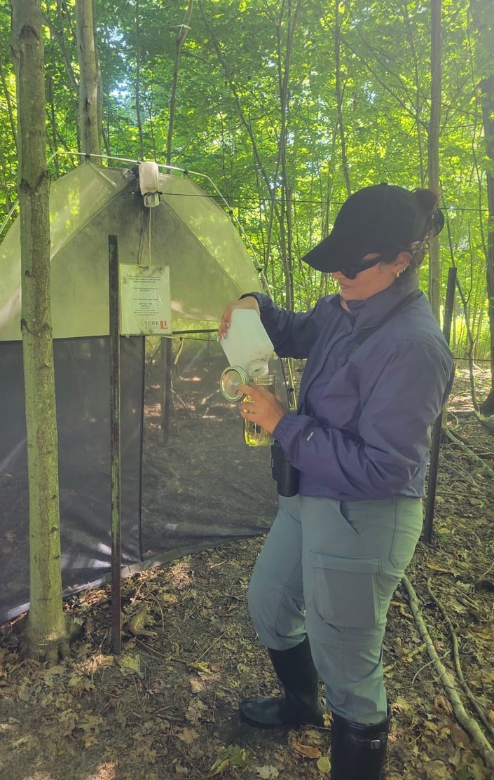 woman with baseball cap pouring something into a jar in front of a tent in the woods