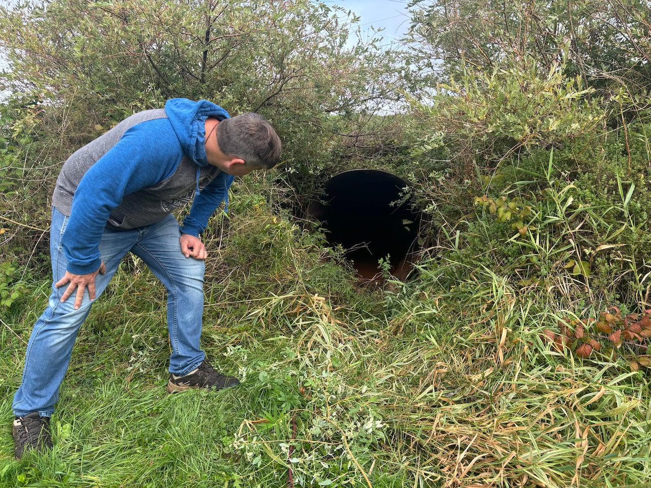 A man looks into a culvert that is heavily covered with vegetation.