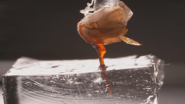 揭秘蜜蜂毒刺的“双活塞”机制：为何蜂针刺入皮肤难以拔出？（配图2）