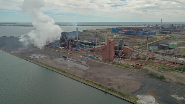 加拿大工业部长施压Stelco：若无具体复工计划不予会面（配图1）