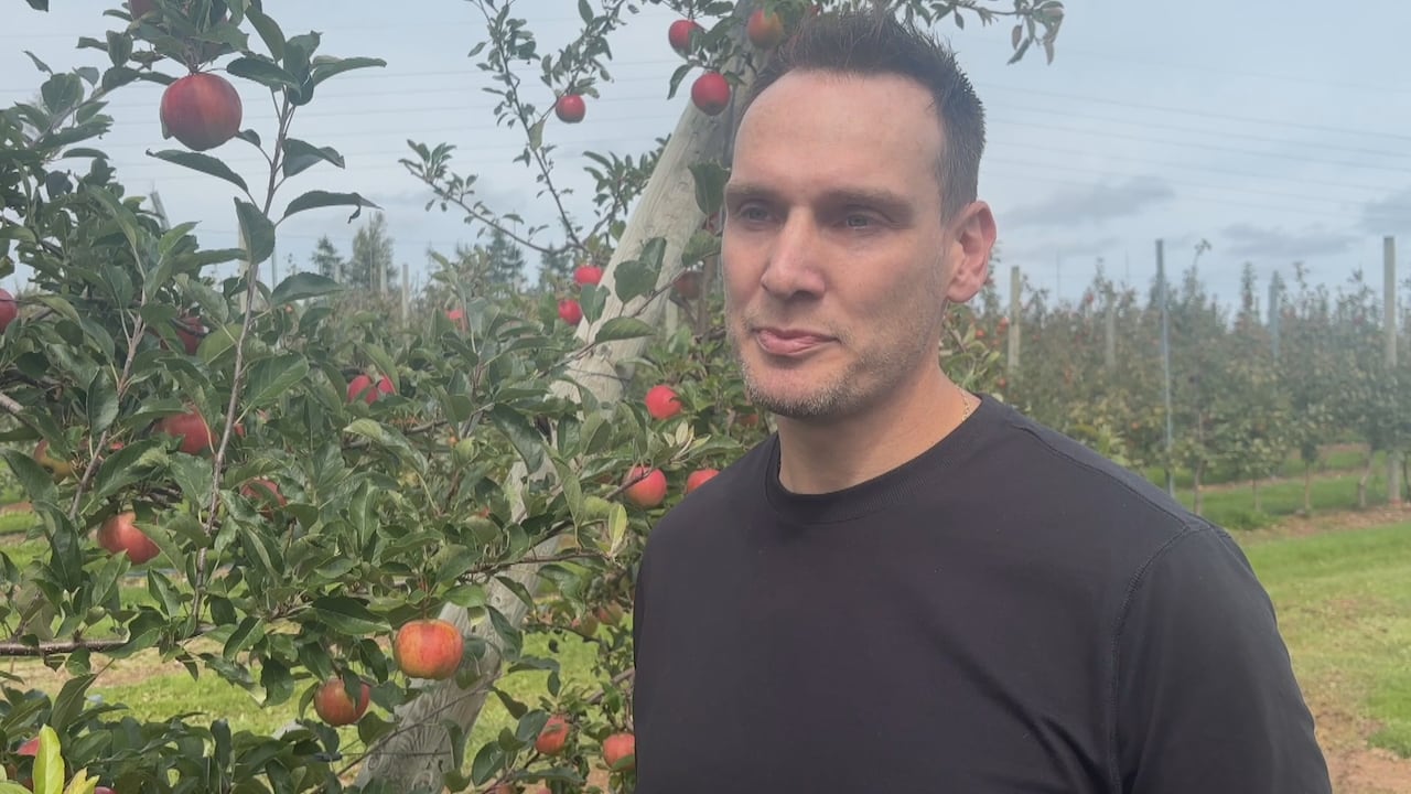 A man in a black t-shirt stands outside in an apple orchard next to a tree laden with red apples.