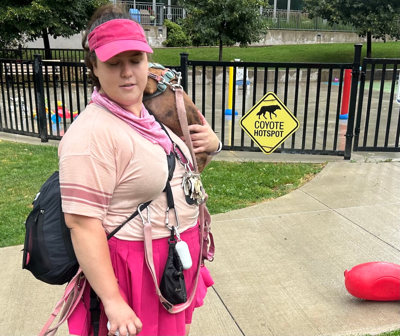Dog walker Elanja Corosky says that as an animal lover, she doesn't want to see any animals die - including coyotes. But something should be done to protect both vulnerable pets and the coyotes that have ocassionally preyed upon them.
