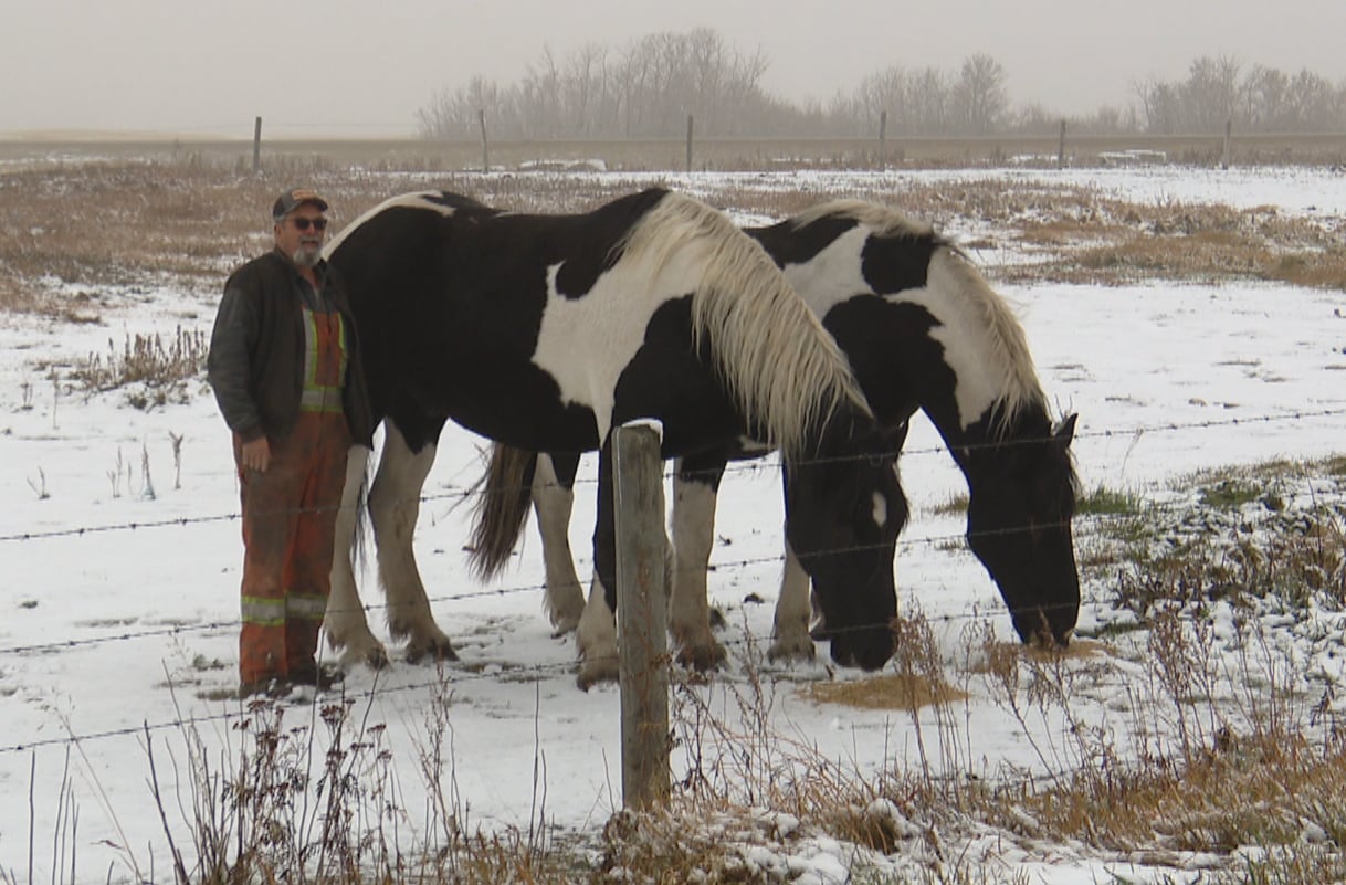 A man stands with two black and white horses in a pasture with a wire fence and snow on the ground.