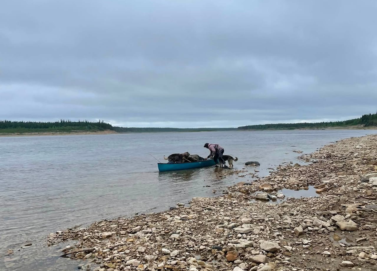 A man and two dogs get into a canoe on a river