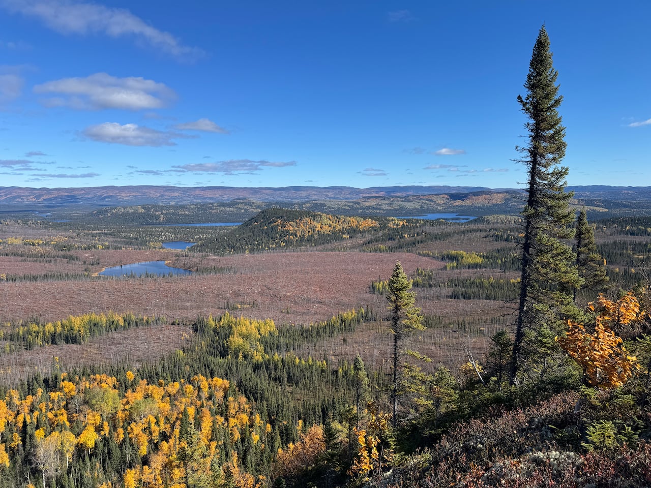 A mountain landscape