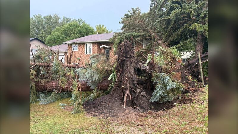 曼尼托巴西南部小镇惊现龙卷风 多地暴雨成灾引关注（配图6）