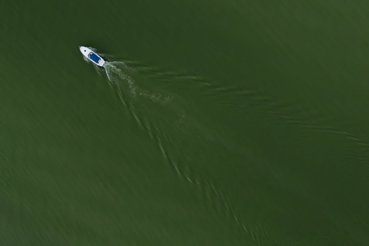 A boat motors through Lake Erie during an algal bloom, Monday, Aug. 26, 2024, at Maumee Bay State Park in Oregon, Ohio.