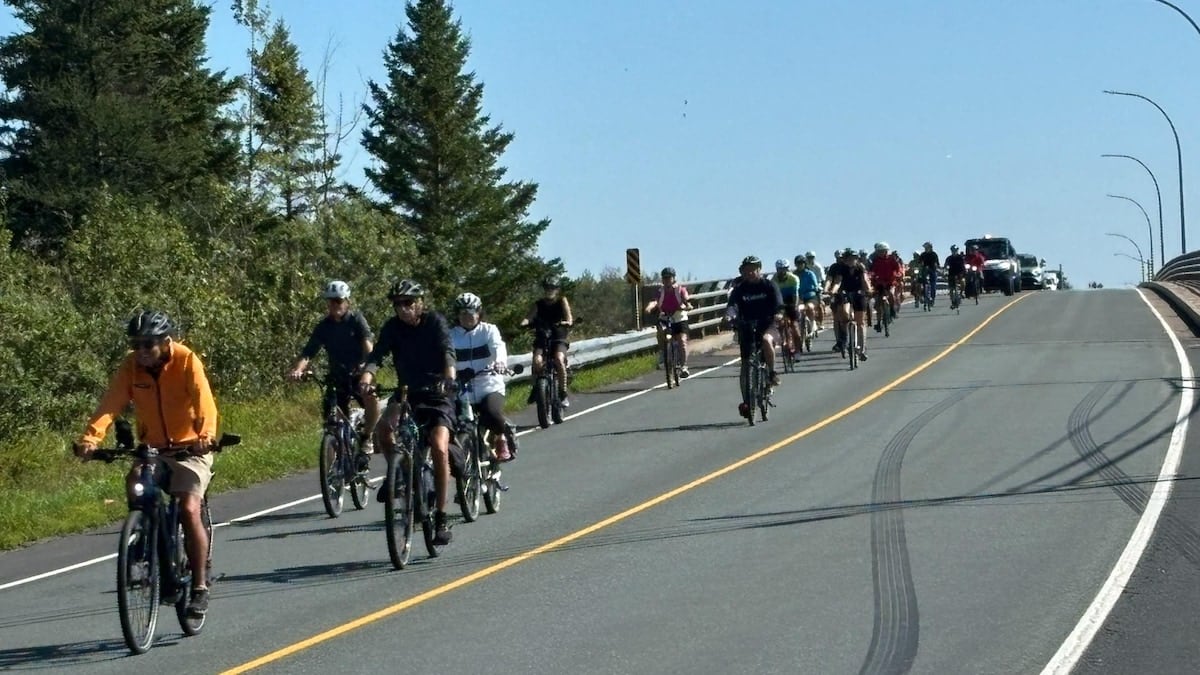 Cyclists on a highway bridge