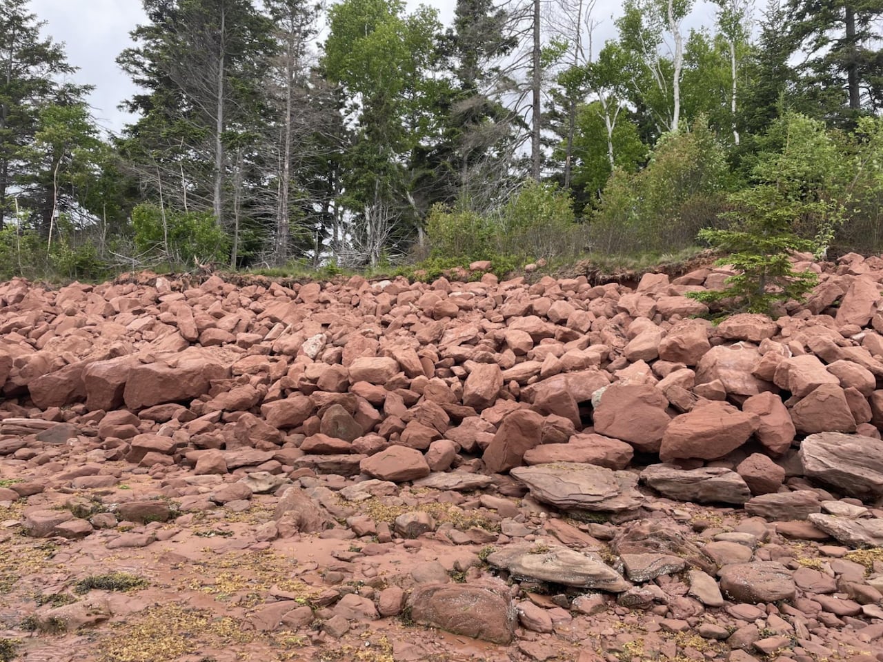 A shoreline covered in a dense embankment of reddish-brown rocks leading up to a lush evergreen and deciduous forest