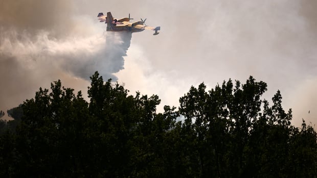 加拿大标志性消防飞机需求激增 加国制造能否满足全球消防挑战？