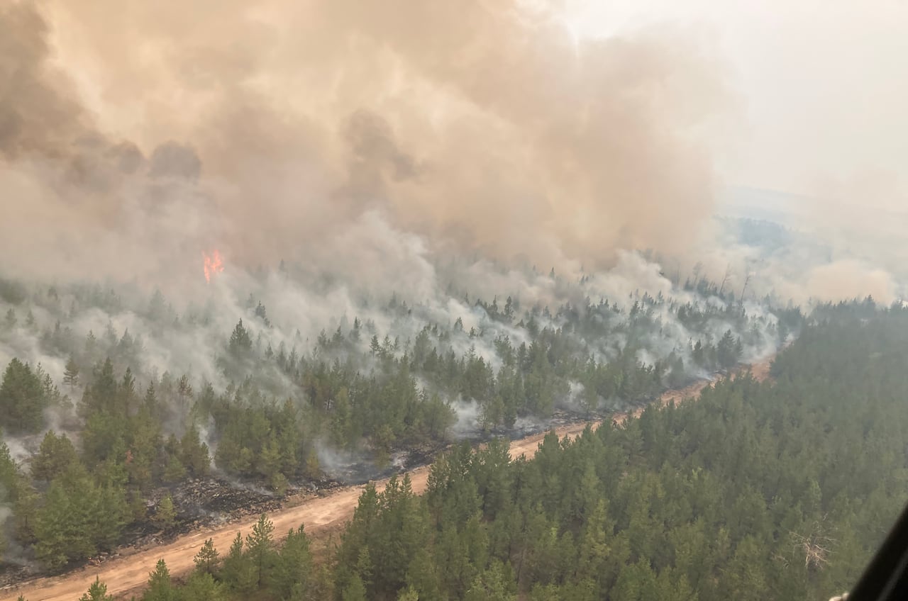 Wildfire smoke in a forest.