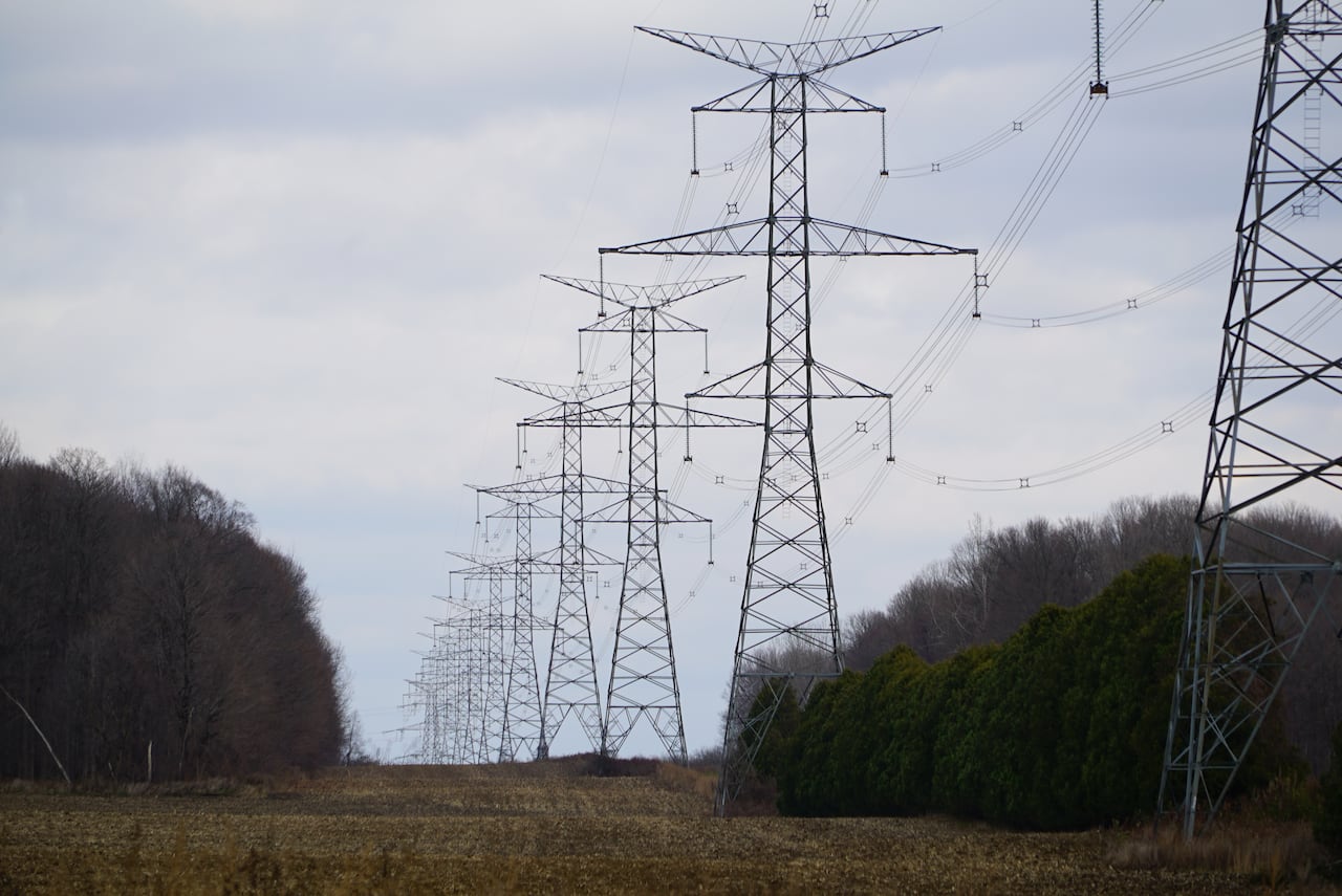 A row of transformers in-between two clusters of trees.