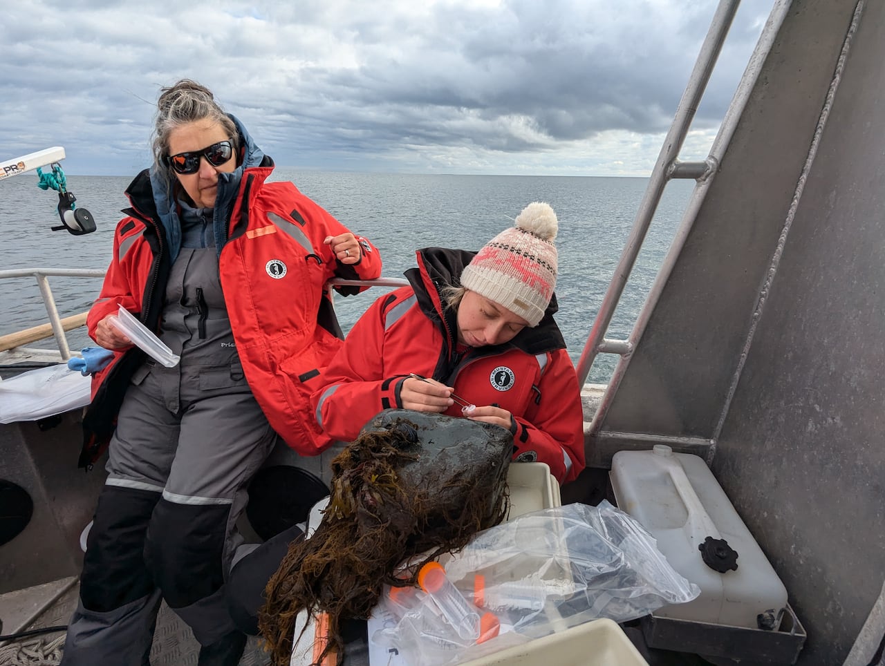 Two women on a boat in big bright red coats.