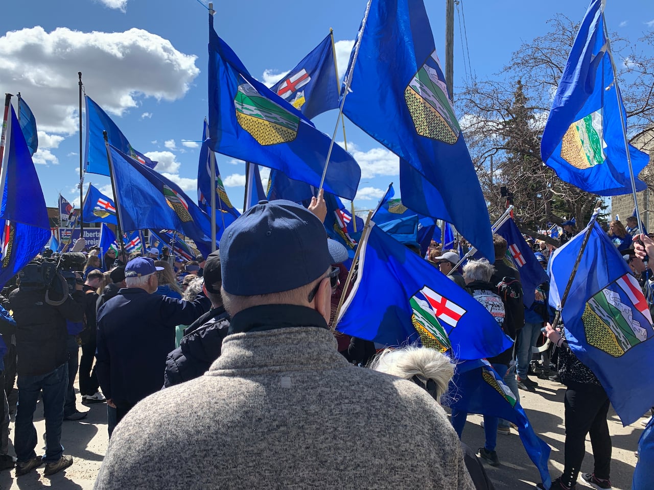 man with his back to camera surrounded by alberta flags