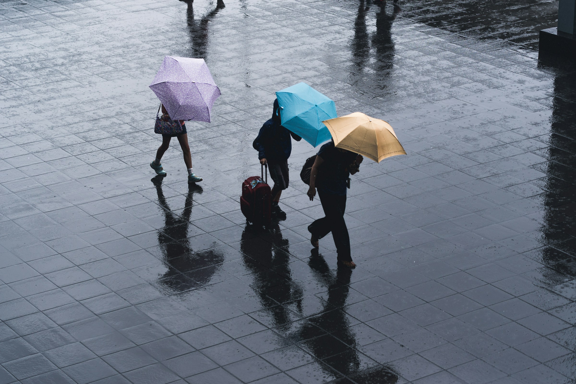 多伦多周末天气预报：周六可能出现大雨和雷暴（配图1）