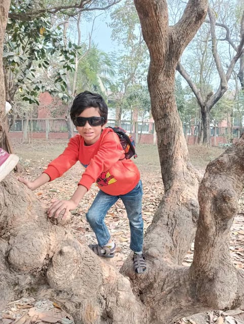 A boy in orange climbs a tree.