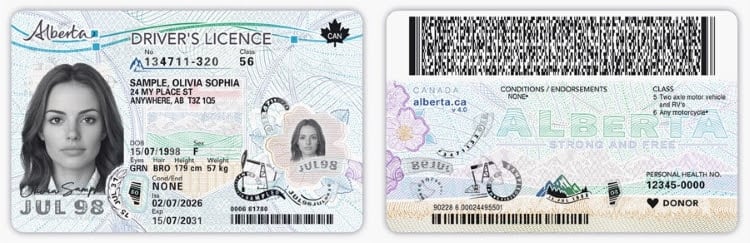 A picture of the back and front of the new Alberta driver's licence.