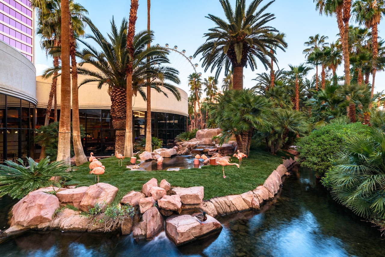 Multiple flamingos stand in a wildlife habitat featuring palm trees, streams and a grassy area near a large building.