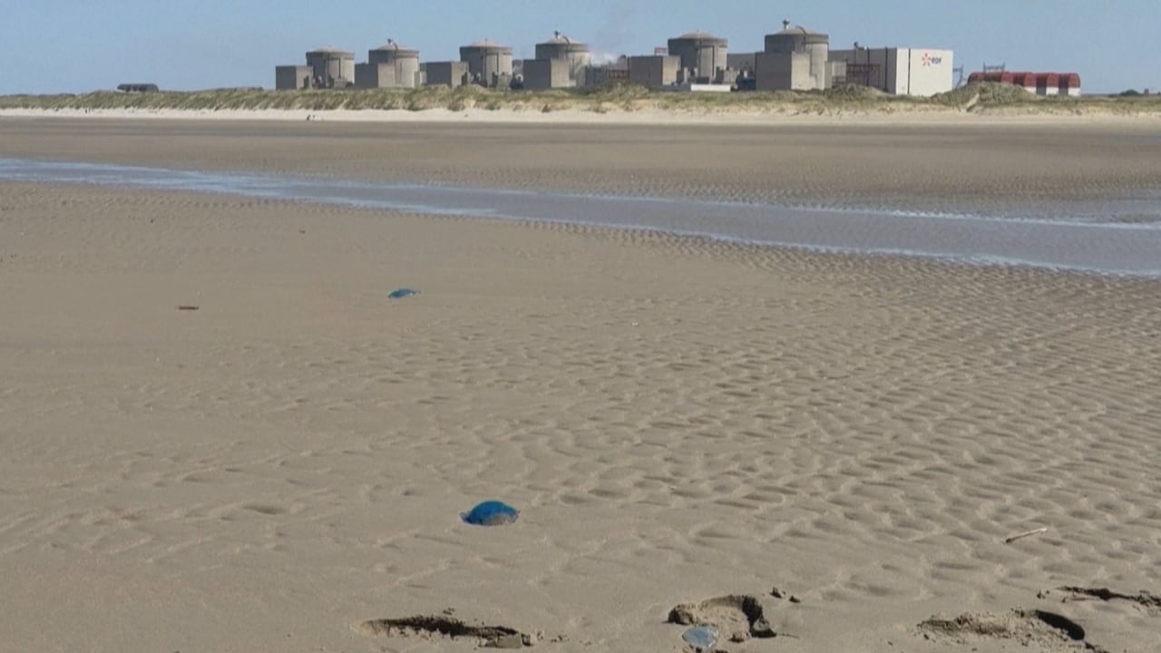 A few jellyfish lie on a beach near the Gravelines nuclear plant in northern France.