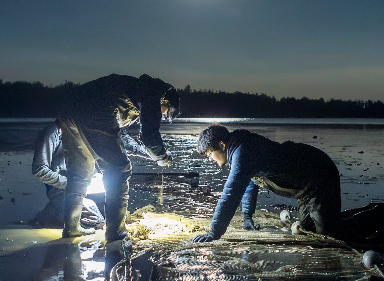 Three student researchers look down at a net full of fish on a dark night, with a bright full moon