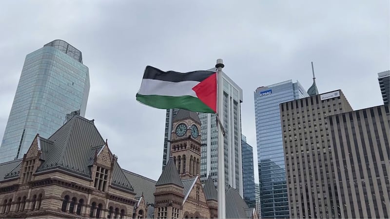 渥太华市长候选人承诺当选后将在市政厅升起巴勒斯坦国旗（配图2）