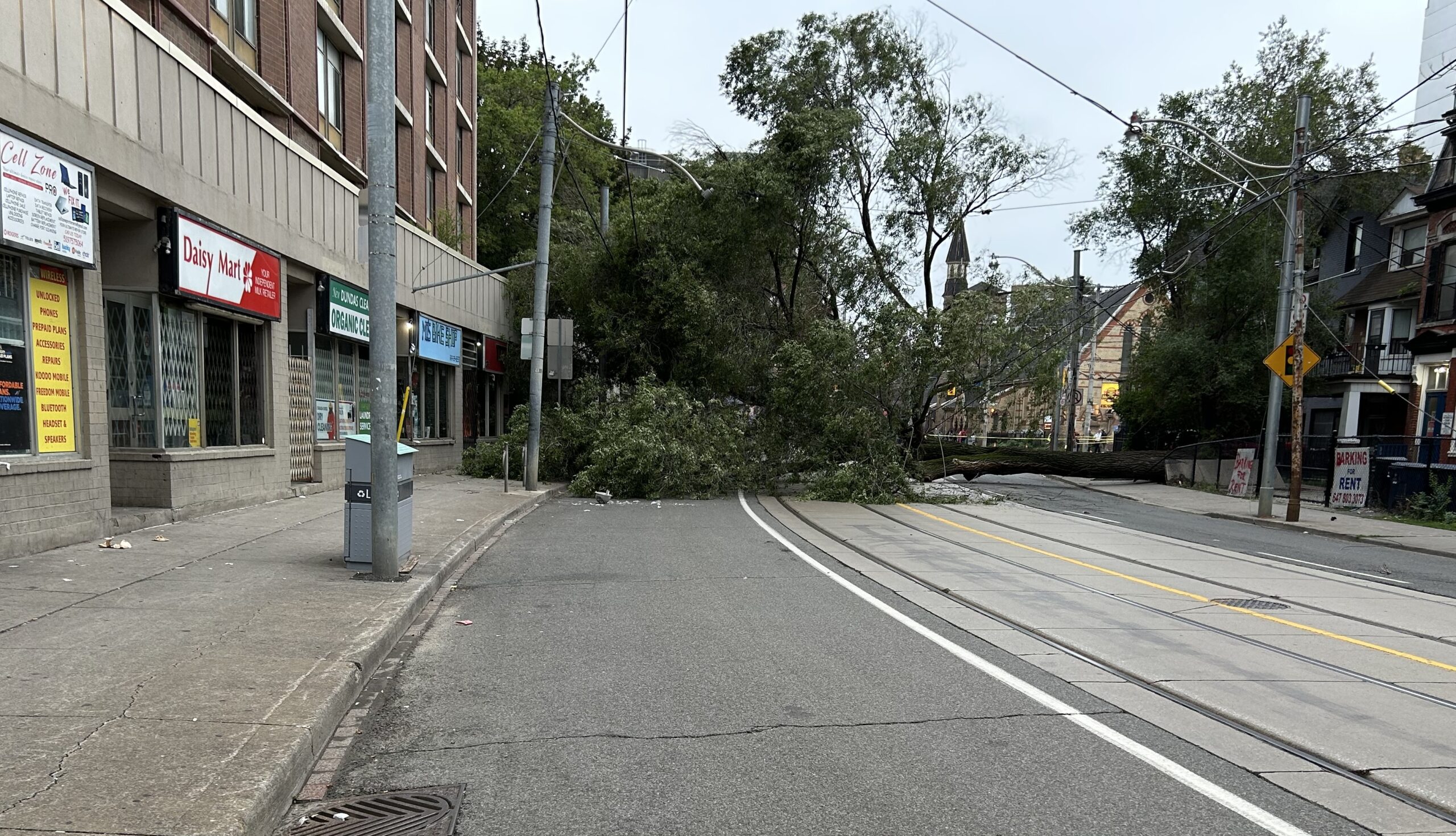 多伦多Dundas与Sherbourne路口大树倒塌，电力中断街车绕道运行（配图1）