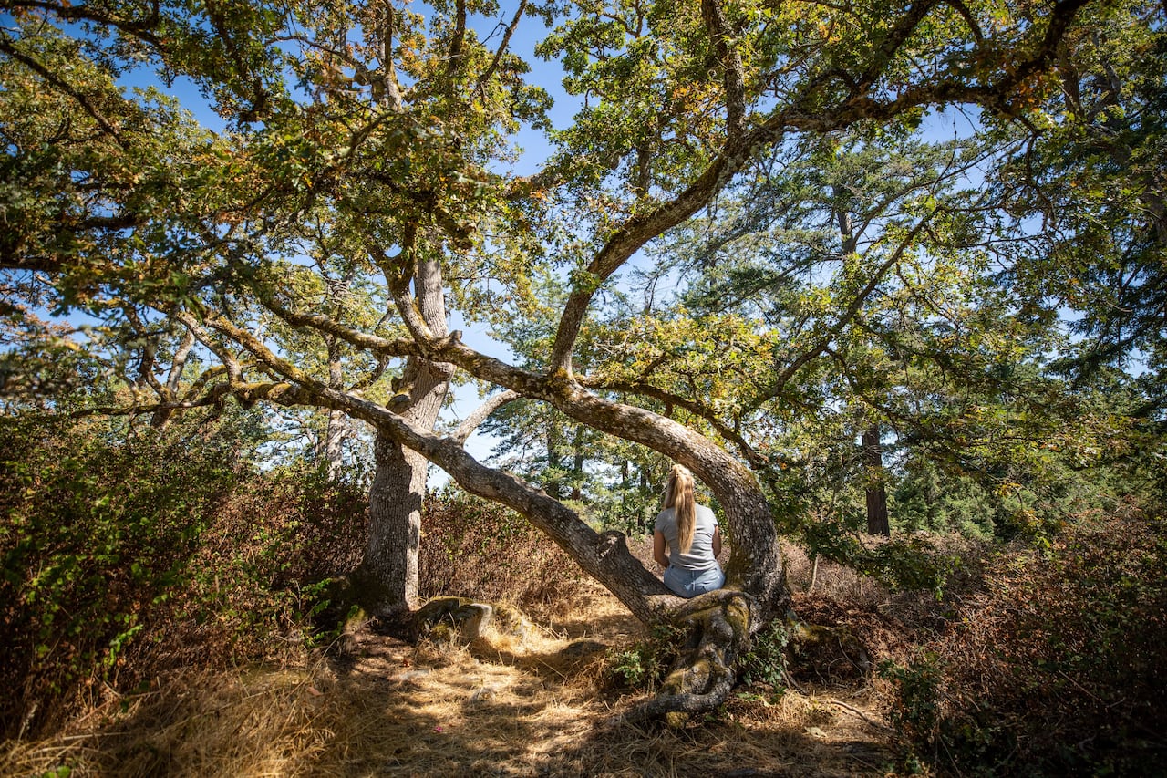 a woman sits on a tree in a park