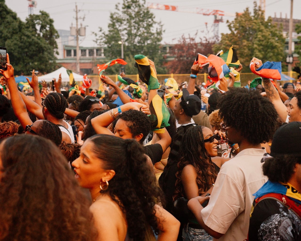 People waving flags