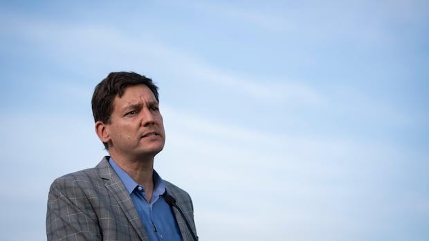加拿大不列颠哥伦比亚省新民主党领袖大卫·爱比享受低价托儿服务引争议