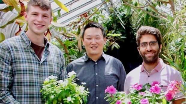 加拿大科学家突破癌症药物生产难题，产量提升千倍指日可待