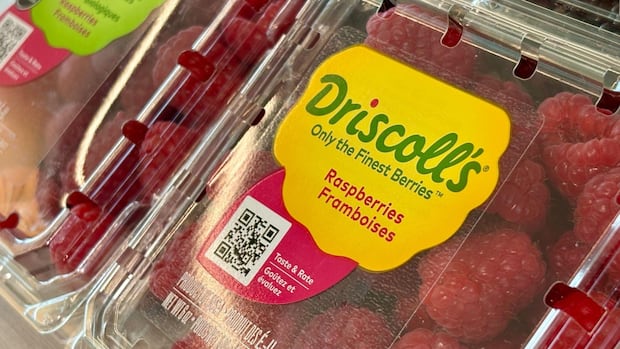 爆料称Driscoll’s草莓曾违规使用农药，数百万磅产品流入加拿大（配图1）