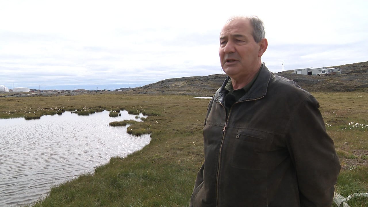 Klaus Koehler finds an almost-never-seen-before plant in Iqaluit, Nunavut.