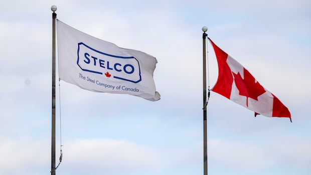 汉密尔顿Stelco厂裁员潮引发国有化讨论 联邦政府或介入稳就业（配图2）