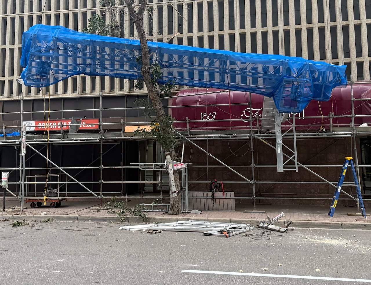 Construction scaffolding covers a sidewalk in front of a building below a blue construction platform wedged into a tree.
