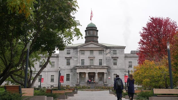 魁北克麦吉尔大学出现二级谋杀犯法学院学生引发安全与信任争议