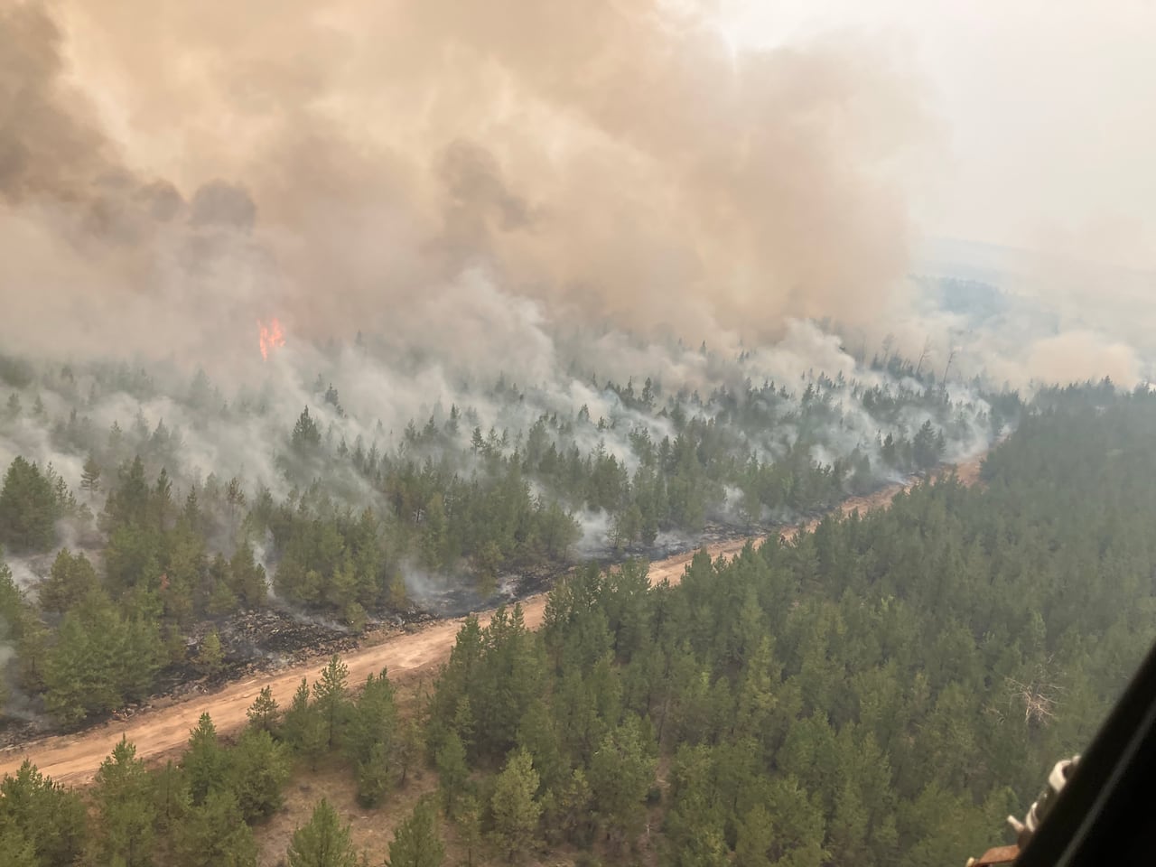 Wildfire among trees