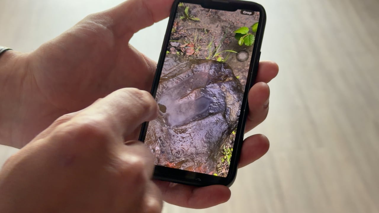 A hand points at a smartphone photo of a muddy footprint with green plants nearby on the screen.