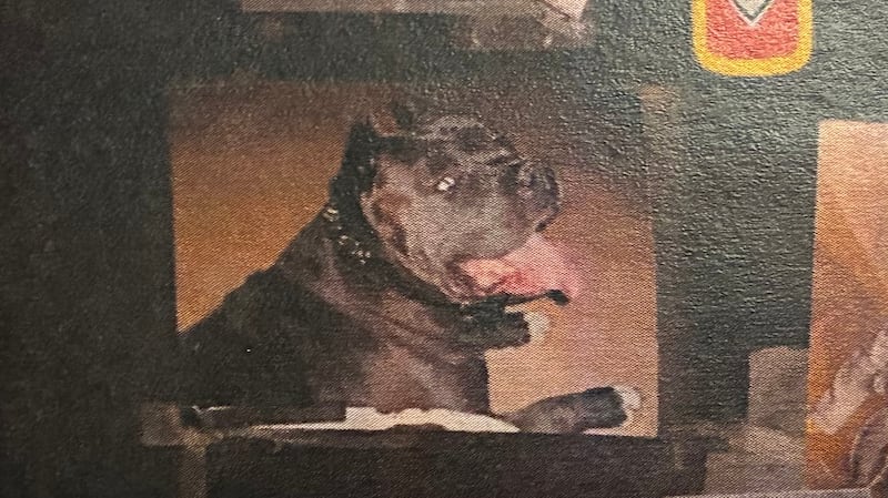 埃德蒙顿命案：两只恶犬致11岁男孩身亡，狗主人即将宣判（配图3）
