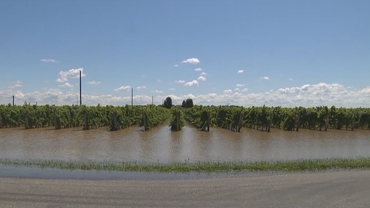 Flooding in NOTL
