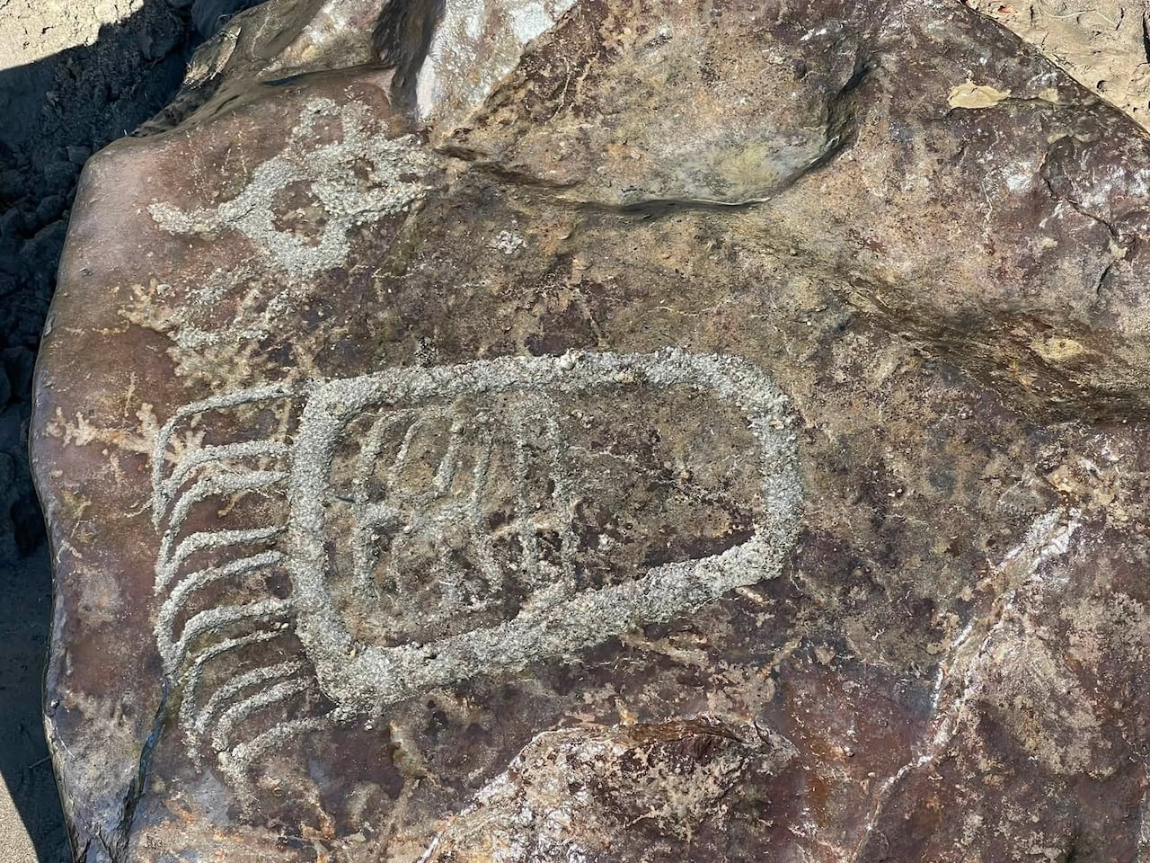 a carving of a bear paw in a rock