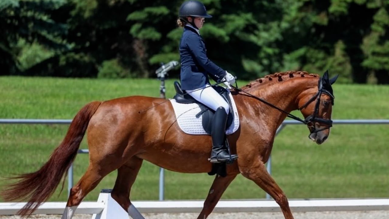 A woman riding a horse