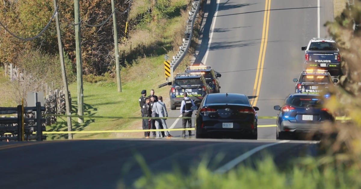 旺市一女子遭遇逃逸车祸身亡，警方寻求目击者线索