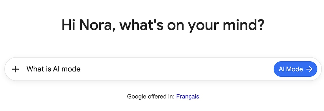 Google's AI search box with the words 
