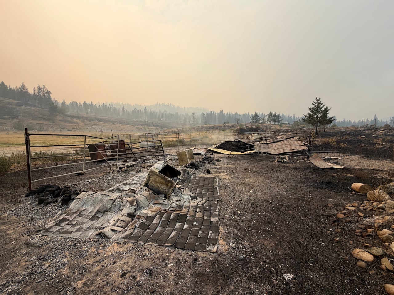 An animal enclosure with ashes of burned structures and fences and a hazy sky.