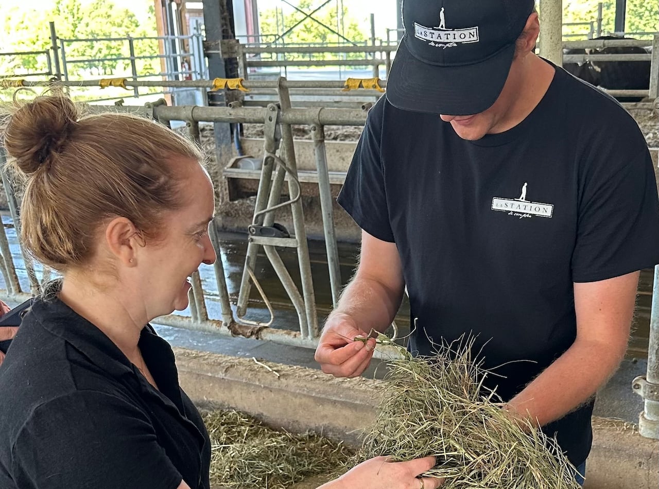 A man and a woman look at hay.