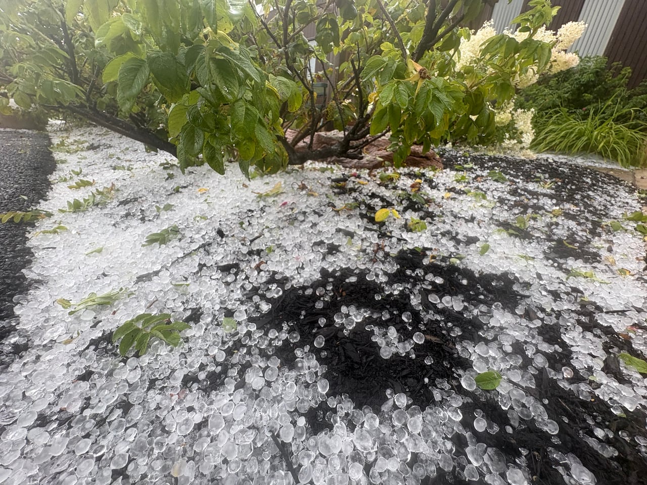 冰雹、暴雨和大风袭击爱德华王子岛
