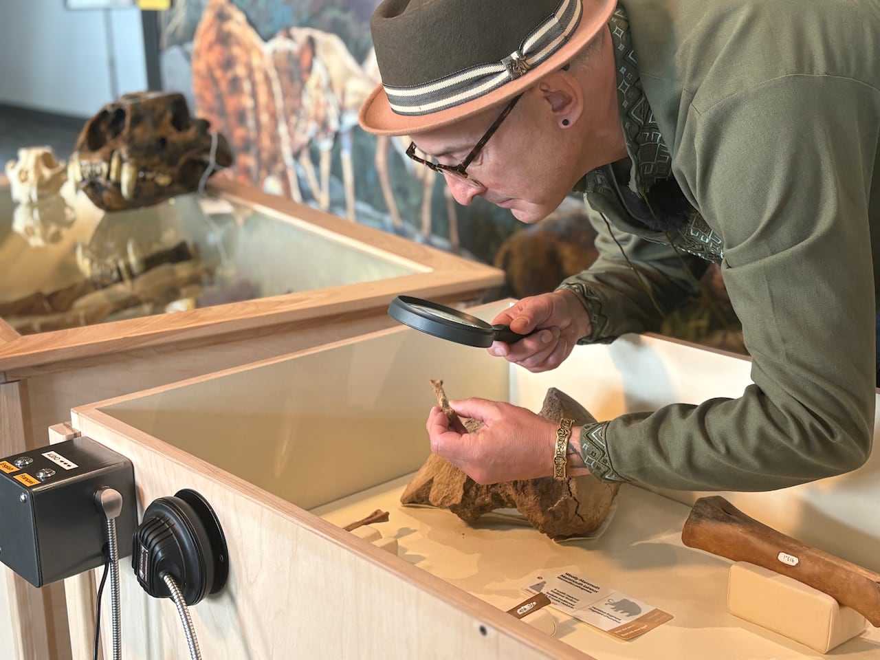 Yukon paleontologist Grant Zazula takes a closer look at a tiny Miracinonyx bone found in the Yukon.